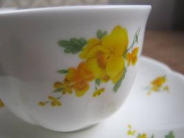 noritake-kihana3.jpg